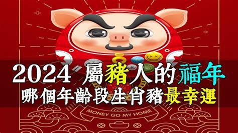 屬豬幾歲虛歲|【屬豬虛歲幾歲】2024年屬豬虛歲幾歲？快看你的財運、幸運色。